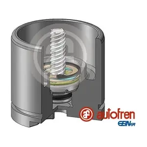 D025256RK AUTOFREN SEINSA