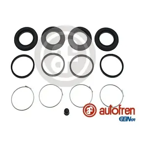 D42097 AUTOFREN SEINSA