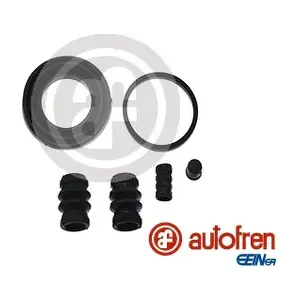 D42254 AUTOFREN SEINSA