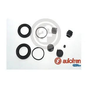 D42143 AUTOFREN SEINSA
