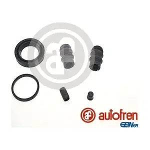 D42183 AUTOFREN SEINSA