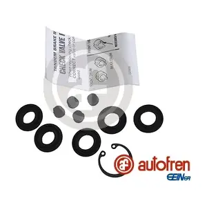 D1347 AUTOFREN SEINSA