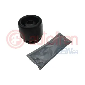D8025 AUTOFREN SEINSA