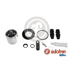 D43102LK AUTOFREN SEINSA
