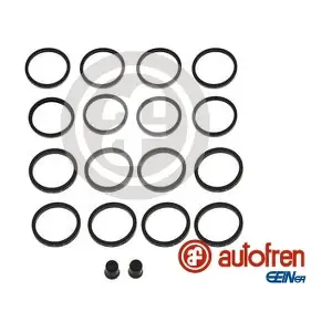D42712 AUTOFREN SEINSA