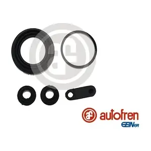 D42397 AUTOFREN SEINSA