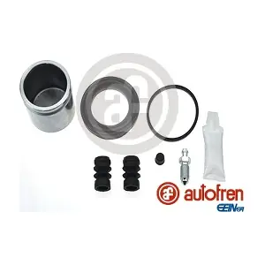 D42108C AUTOFREN SEINSA