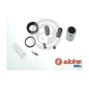 D42184C AUTOFREN SEINSA