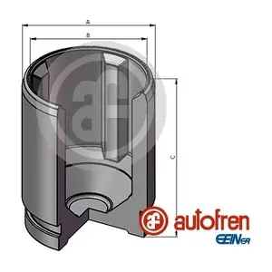 D025719 AUTOFREN SEINSA
