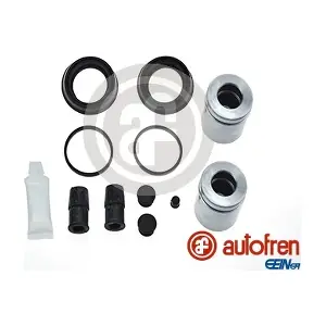 D42068C AUTOFREN SEINSA