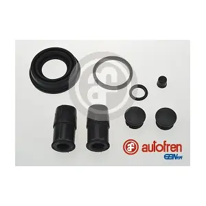 D42602 AUTOFREN SEINSA