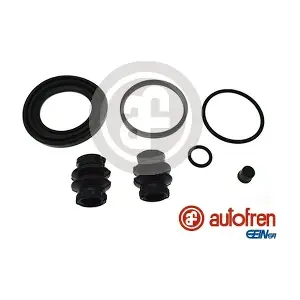 D42421 AUTOFREN SEINSA