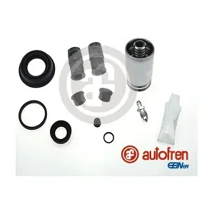 D42203K AUTOFREN SEINSA