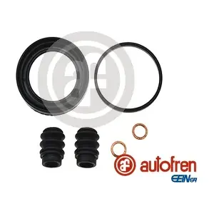 D41228 AUTOFREN SEINSA