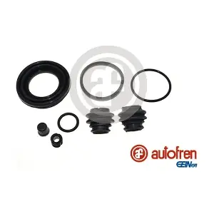 D43063 AUTOFREN SEINSA