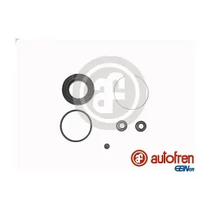 D4250 AUTOFREN SEINSA