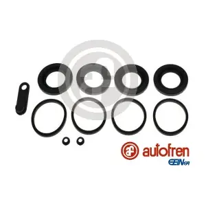 D42447 AUTOFREN SEINSA