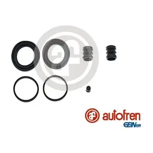 D4206 AUTOFREN SEINSA