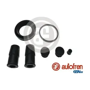 D4381 AUTOFREN SEINSA