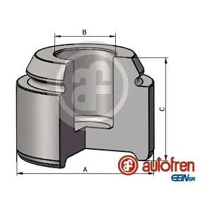 D025569 AUTOFREN SEINSA