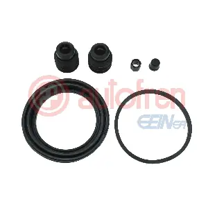 D43202 AUTOFREN SEINSA