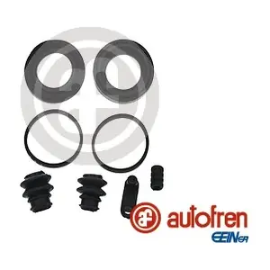 D41650 AUTOFREN SEINSA