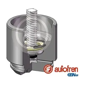 AUTOFREN SEINSA D025691LK