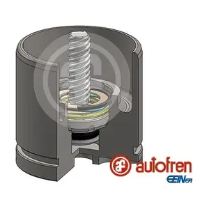 D025520RK AUTOFREN SEINSA
