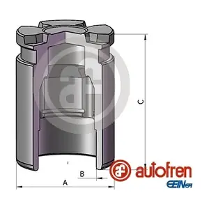 D025542 AUTOFREN SEINSA