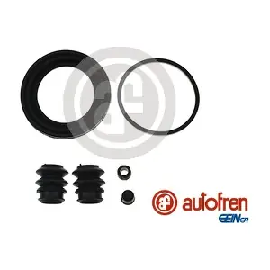 D42145 AUTOFREN SEINSA