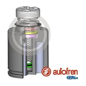 D025234LK AUTOFREN SEINSA