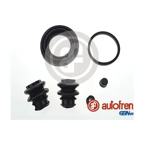 D41643 AUTOFREN SEINSA