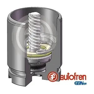 D025441LK AUTOFREN SEINSA