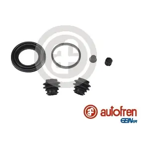 D42720 AUTOFREN SEINSA