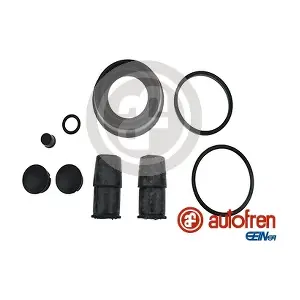 D42584 AUTOFREN SEINSA