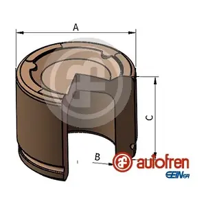 D025809 AUTOFREN SEINSA