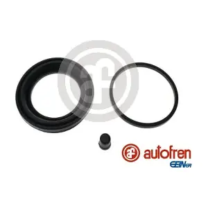 D4251 AUTOFREN SEINSA