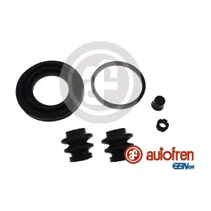 D43129 AUTOFREN SEINSA