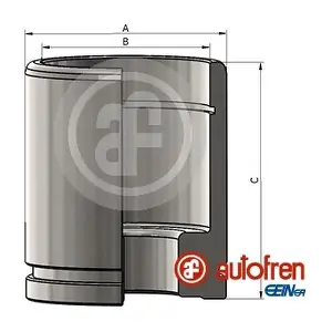 D025376 AUTOFREN SEINSA