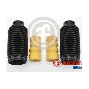 D5029 AUTOFREN SEINSA