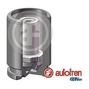 D025602K AUTOFREN SEINSA