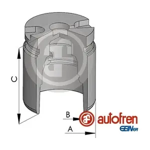 D025441 AUTOFREN SEINSA