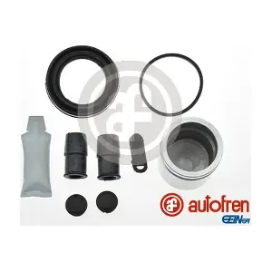 D42204C AUTOFREN SEINSA