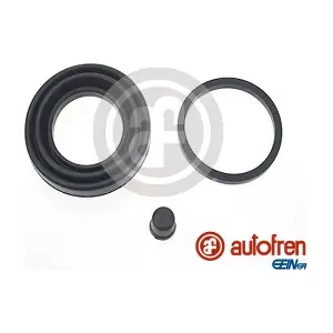 D41342 AUTOFREN SEINSA