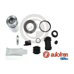 D42173C AUTOFREN SEINSA