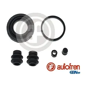 D4920 AUTOFREN SEINSA