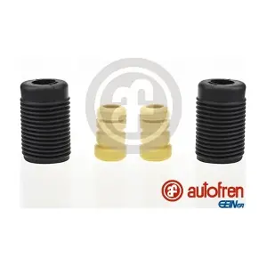 D5163 AUTOFREN SEINSA