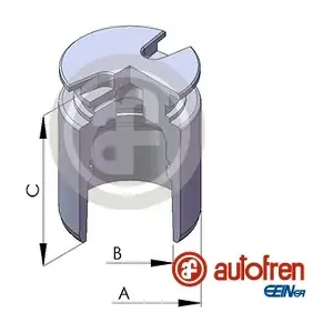 D025102 AUTOFREN SEINSA
