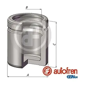 D025599 AUTOFREN SEINSA