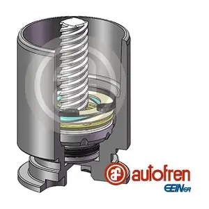 D025122RK AUTOFREN SEINSA